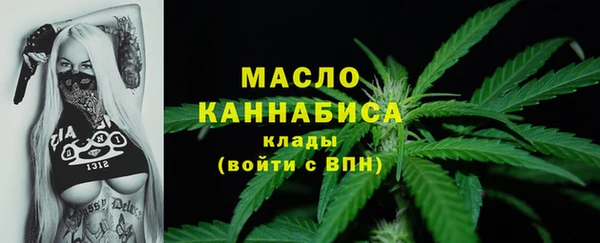 дмт Абаза