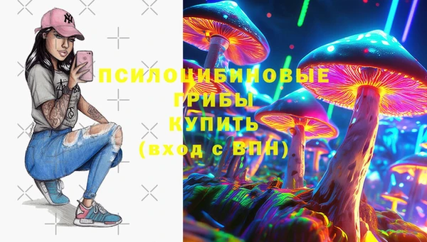 apvp Протвино