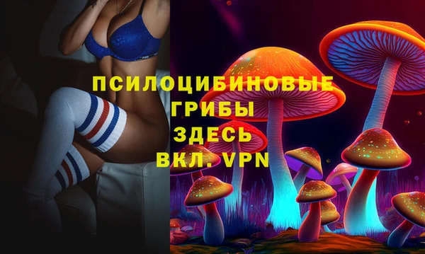 дмт Абаза