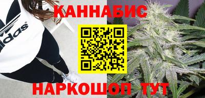 spice Абакан
