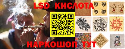 spice Абакан
