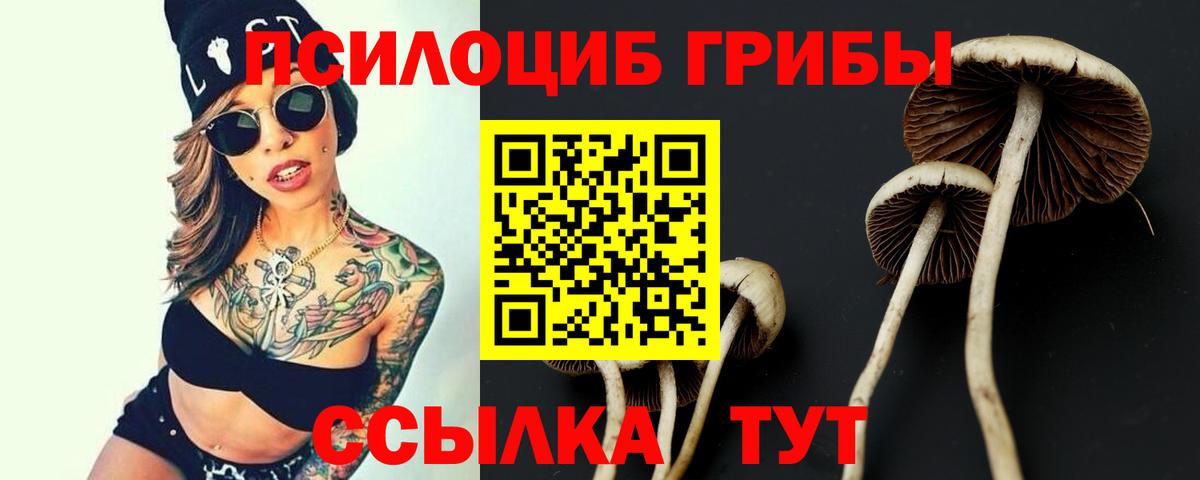 Псилоцибиновые грибы Magic Shrooms  Псилоцибиновые грибы Psilocybe  Вход с VPN  Алатырь 