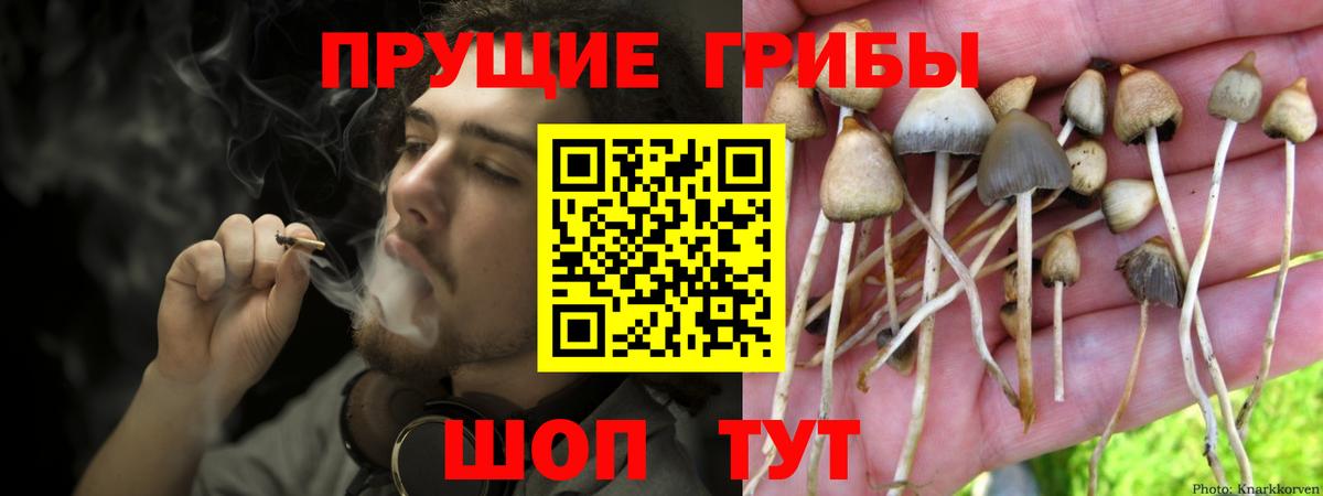 Галлюциногенные грибы мухоморы Алатырь